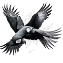 2 flying macaws tattoo design idea