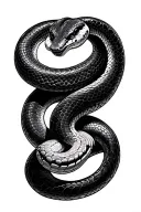black thin snake coiled python programming language tattoo design idea