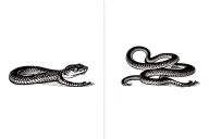 king snake tattoo design idea