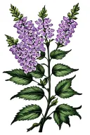 Buddleia flower with stem tattoo design idea