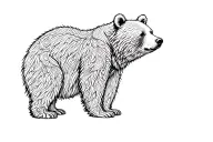 Mama Bear Baby Bear tattoo design idea