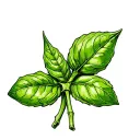 basil mini for leg tattoo tattoo design idea