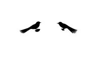 shadow of two mocking birds flying next to each other tattoo design idea