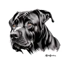 rhodesian ridgeback tattoo design idea
