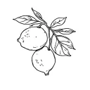 Two lemons on the branch with 3 leaves in the fineline tattoo tattoo design idea