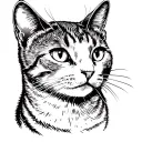 Cat Memorial tattoo design idea