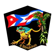 El Morro, Coqui, Boricua Flag Waving, Flor de Maga, Puerto Rico Tribe tattoo design idea