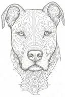 Pitbull head tattoo design idea