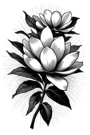 magnolia flowers with stem and light rays coming from behind tattoo design idea