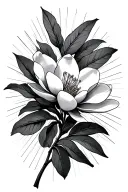 magnolia flowers with stem and light rays coming from behind tattoo design idea