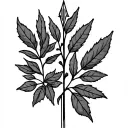 two rowan branches like a flat laurel with the stems touching eqch other and a vertical arrow in between them tattoo design idea