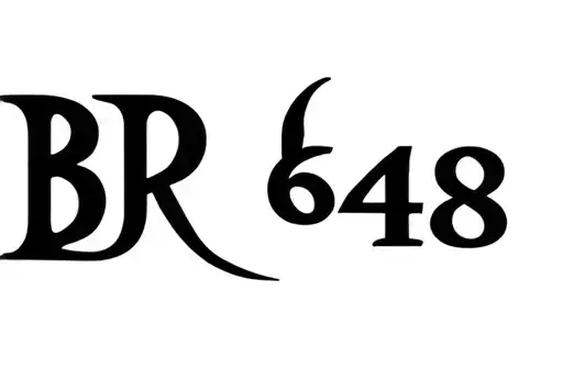 "BR 648" tattoo design idea