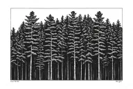 Black and white linework + dotwork tattoo design of a dense pine forest in Masal, northern Iran.Tall, straight pine tre tattoo design idea