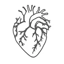 anatomy heart tattoo, feminine tattoo tattoo design idea