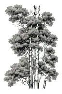 aspen trees tattoo design idea