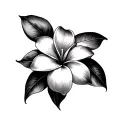 Frangipani tattoo design idea