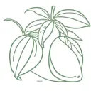 mango fruit tattoo design idea