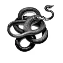 two coral snakes appearing to be wrapped around the collarbones tattoo design idea