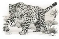 snow leopard walking tattoo design idea