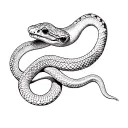 two headed rattlesnake tattoo design idea