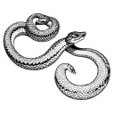 two headed rattlesnake tattoo design idea
