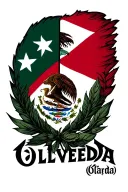 last name (Olveda) with half Puerto Rico flag and half mexico flag combined behind the name  tattoo design idea