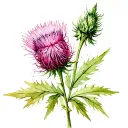 Scottish thistle tattoo design idea