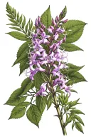 fireweed realism with slight pink coloring tattoo design idea