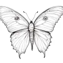 papillon tattoo design idea