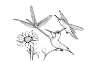 dragonfly and humming bird with daisy lily tattoo design idea