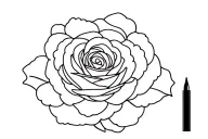 Lynn with rose tattoo design idea