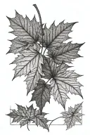 10 maple leaves in a 11 per 4cm rectangle, some leaves can go out of the rectangle for few millimeters tattoo design idea