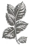 taro plant leaf in shape tattoo design idea