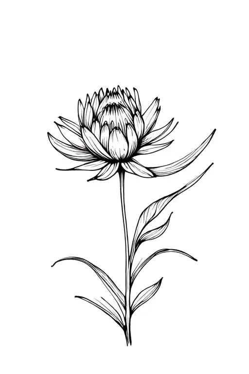 Fine-line queen protea centered on the sternum: slender stem, delicate petals in a simple silhouette, subtle dot tattoo design idea
