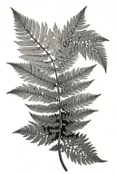 fern leaf tattoo design idea