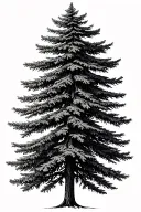 douglas fir tree tattoo design idea