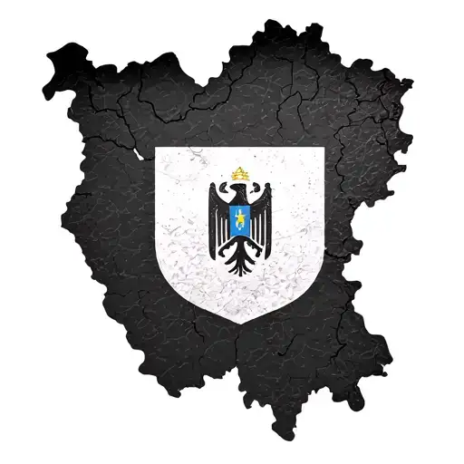 bosnia map with flag tattoo design idea