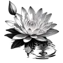 water lily and cosmo flower with 7/27/07      10/02/08 tattoo design idea