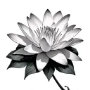 water lily and cosmo flower with 7/27/07      10/02/08 tattoo design idea