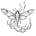 moth flying to a flame  tattoo design idea