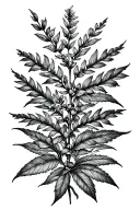 A tattoo featuring a detailed botanical illustration of the client's favorite plant species tattoo design idea