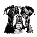 american bully tattoo design idea