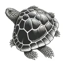 eastern box turtle shell symbolizing the client's love tattoo design idea