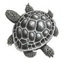 eastern box turtle shell symbolizing the client's love tattoo design idea