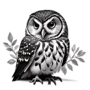Barred Owl tattoo design idea