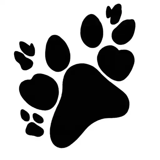 heart around sweet schnoodle dog paw print tattoo design idea