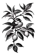 bird lemon tree branch tattoo design idea