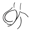 jayden tattoo design idea