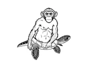 Phillipine monkey serious face sitting on a sea turtle tattoo design idea