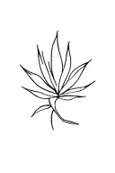 simple line cursive agave into a minimalist bouque at the top on my spine tattoo design idea